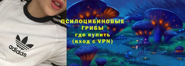 мет Корсаков