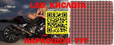 стафф Владикавказ