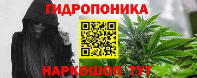 бошки Владимир