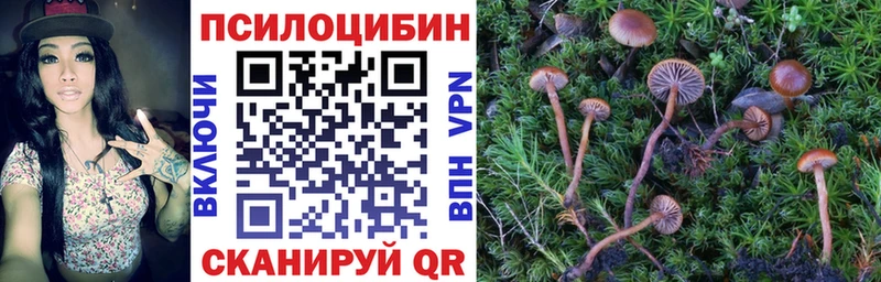 кракен рабочий сайт  Одинцово  Псилоцибиновые грибы MAGIC MUSHROOMS 