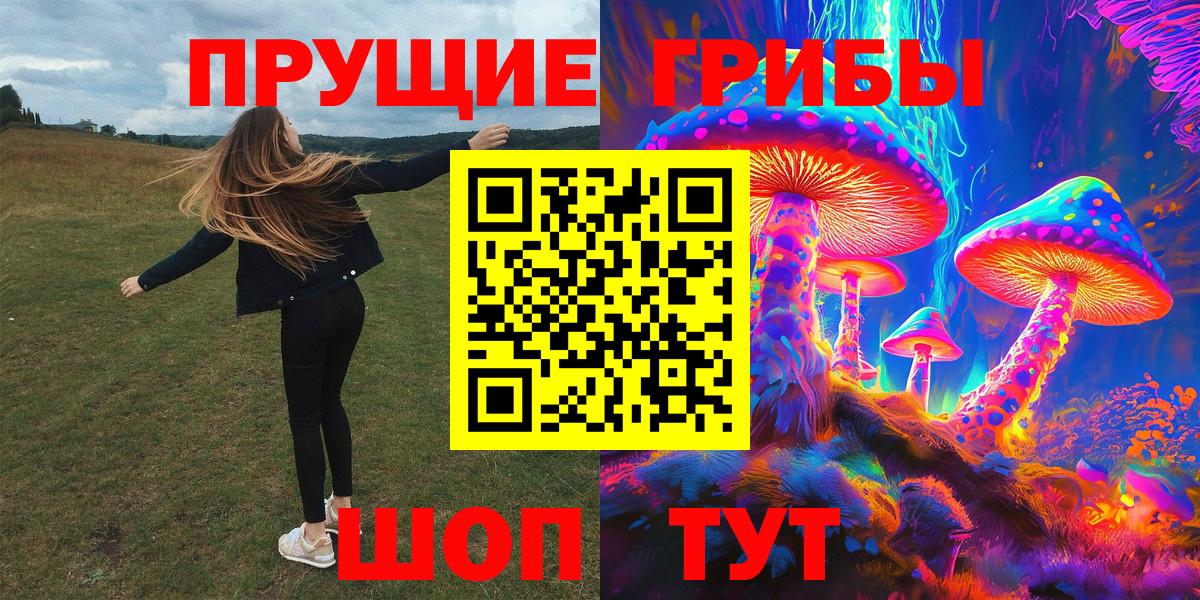 Галлюциногенные грибы GOLDEN TEACHER Одинцово