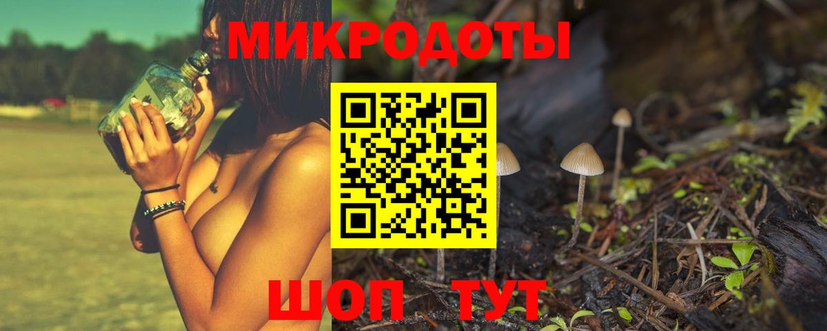 Псилоцибиновые грибы прущие грибы  Псилоцибиновые грибы GOLDEN TEACHER  Одинцово  Вход с VPN 