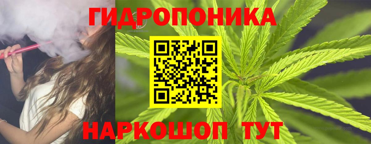 Конопля семена Одинцово